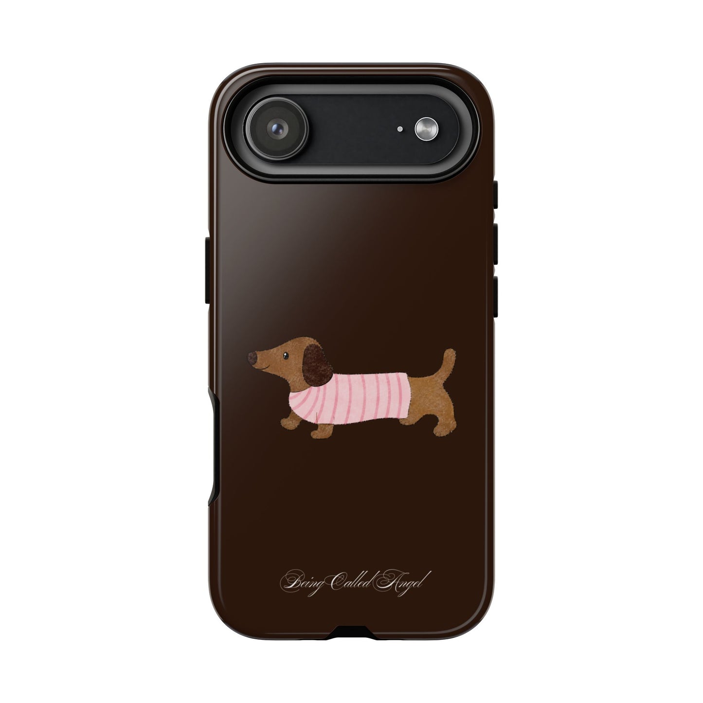 Cozy Dachshund